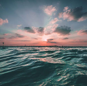 Meet your Posher, Lexi